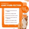 LIQUIDHEALTH Pets Liquid Cat Glucosamine Joint Purr-Fection - Hip &