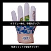 Rawlings(ローリングス) Baseball Defensive Glove, Single Hand, Wizard Field Glove EFG25S01,