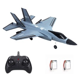 Eayaele Foam F-35 RC 2 CH Remote Control Fighter Jet Plane Airplane Toy for Adults Kids Boys Beginners Easy Ready to Fly (Grey)