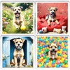 Border Terrier Dog Coaster Set. 4 different Border Terrier Dog