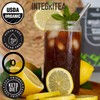 IntegriTEA Ceylon Black Cold Brew Black Tea Bags - 6-Bag