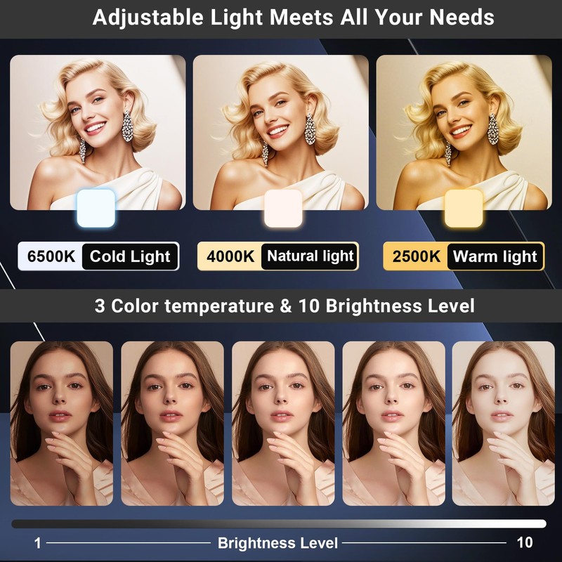 Voinap Suction Cup Mirror Phone Holder with Rechargeable Light, Versatile