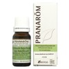 Pranalom Basil 0.3 fl oz (10 ml)