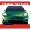 ColorFusion PPF by VViViD, Gloss Early Spring Green Dry Apply