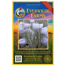 Everwilde Farms - 100 Pasque Flower Native Wildflower Seeds - Gold Vault Jumbo Seed Packet