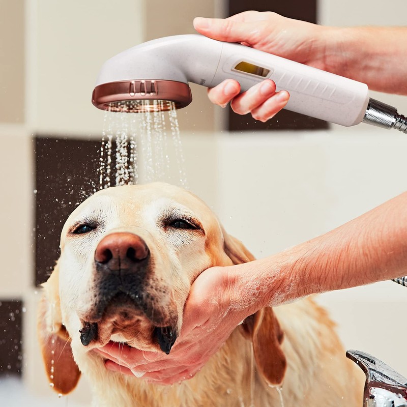 Miniwell Handheld Shower Head with Filter L751W - Vitamin C