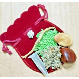 Luck Fortune Mojo Bag Hoodoo gris gris wiccan spell bag charm