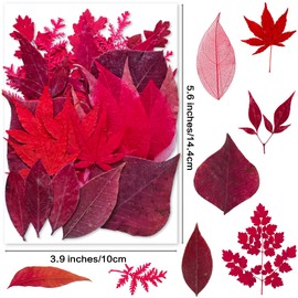 Red Dried Pressed Leaf Leaves, YouthBro 30PCS Real Nature Plant Herbarium Set for DIY Jewelry Candle Soap Art Craft Decors,Red
