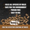 VoleX - Effective Against All Species of Voles. Safe for