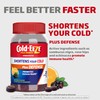 Cold-EEZE Plus Defense Natural Citrus & Elderberry Zinc Chewable Gels,