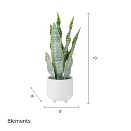 Elements Artificial Snake Plant in White Ceramic Pot, Realistic Look and Feel