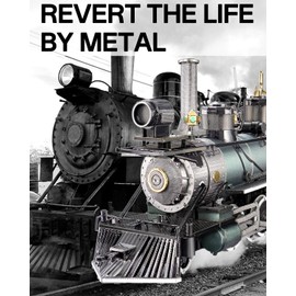 Piececool 3D Puzzle Metal Steam Train, Classic Transportation Craft Model Kits for Adults to Build, 3D Puzzles Adult Teens for 304 Stainless Steel, Ideal as Gifts, Home Decoration, Diy, 282 Pieces