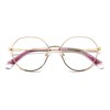 POLAROID Model PLD D490/G Ladies Oval Metal Eyeglass Frame (Includes