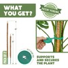 2 Pack 48" and 28'' Bendable Moss Pole Monstera Plant