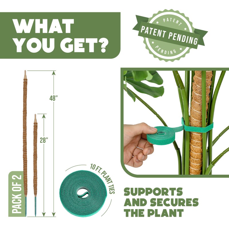 2 Pack 48" and 28'' Bendable Moss Pole Monstera Plant