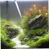 Kisangel Aquarium Water Changer Handheld Siphon Tube 30ml Mini Siphon