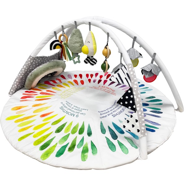 LADIDA Baby Gym Play Mat, Tummy Time Mat & Activity
