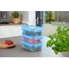 Emsa 508558 Food Clip & Close, Plastic, Transparent / Blue