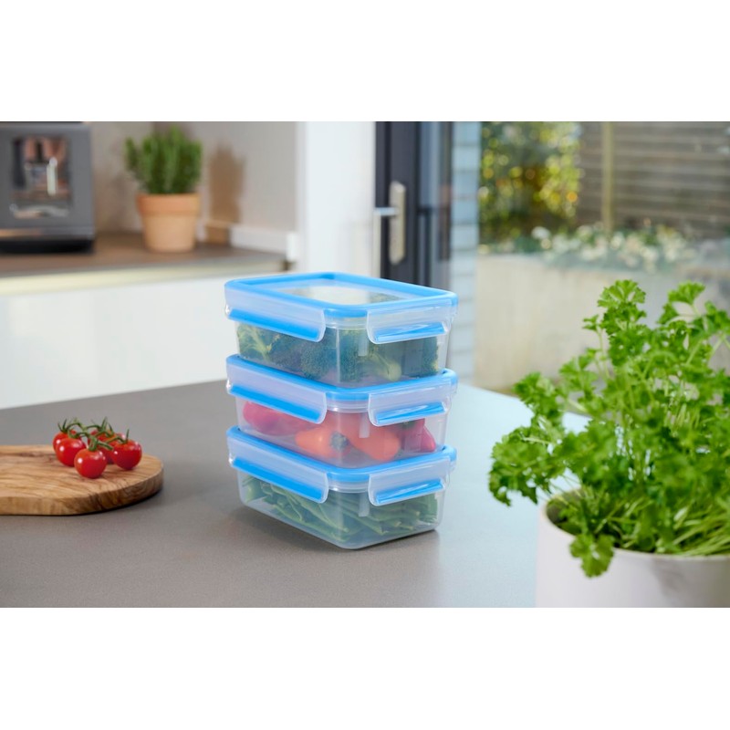 Emsa 508558 Food Clip & Close, Plastic, Transparent / Blue
