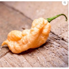 Jay's Peach 10 Jay's Peach Ghost Scorpion Pepper Fresh Seeds Grown In Florida 2024