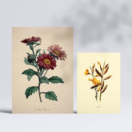 Nacnic Set of 6 Dark Flowers Posters Vintage Prints Aesthetic Decorative Prints for Your Living Room Bedroom Home Sizes A4 and A3