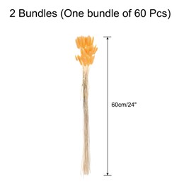 MECCANIXITY 120pcs Natural Rabbit Bunny Tails Dried Flowers 24" Mini Pampas Grass Lagurus Ovatus Bunch for Floral Wedding Decor Christmas, Light Orange