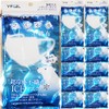 Q-MaX Ultra Cooling Non-woven ICE Mask, Regular Size, 5 Sheets