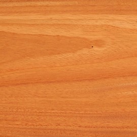 Woodcraft Argentinian Osage Orange 2" x 2" x 18" 1-Piece