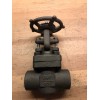 Newco 1" Class 800 Cast Iron Gate Valve 47 18X-FS2-RP-NC-