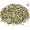 Organic Plantain Leaf Pure Herbal Infusion (25 Unbleached Tea Bags