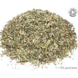 Organic Plantain Leaf Pure Herbal Infusion (25 Unbleached Tea Bags - 50g)