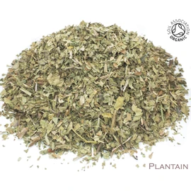 Organic Plantain Leaf Pure Herbal Infusion (25 Unbleached Tea Bags - 50g)