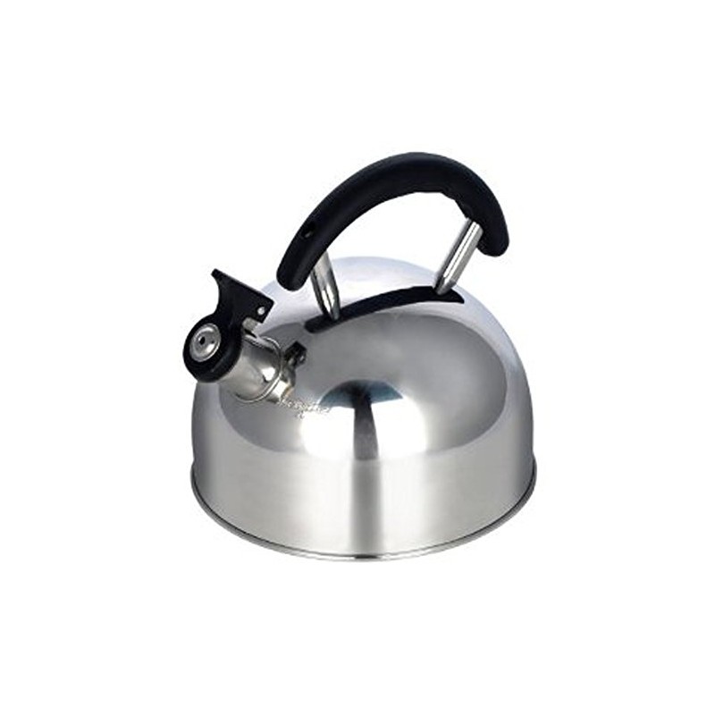 Pendeford Housewares S/S 2LT Whistling Kettle SS 201, Silver