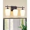 Osimir 3-Light Bathroom Lighting Fixtures Over Mirror, 21" Oil Rubbed