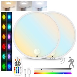 2Pack Motion Sensor Ceiling Light, Rechargeable Battery Powered LED Ceiling Light, Closet Light for Bathroom Closet Stairs Porch Hallway Pantry Wall (White*2)