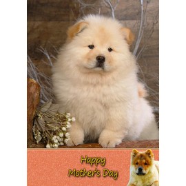 Chow Chow Dog Mothers Day Card