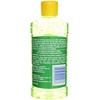 Gel de Aloe After Sun de plátano Boat, 235 ml
