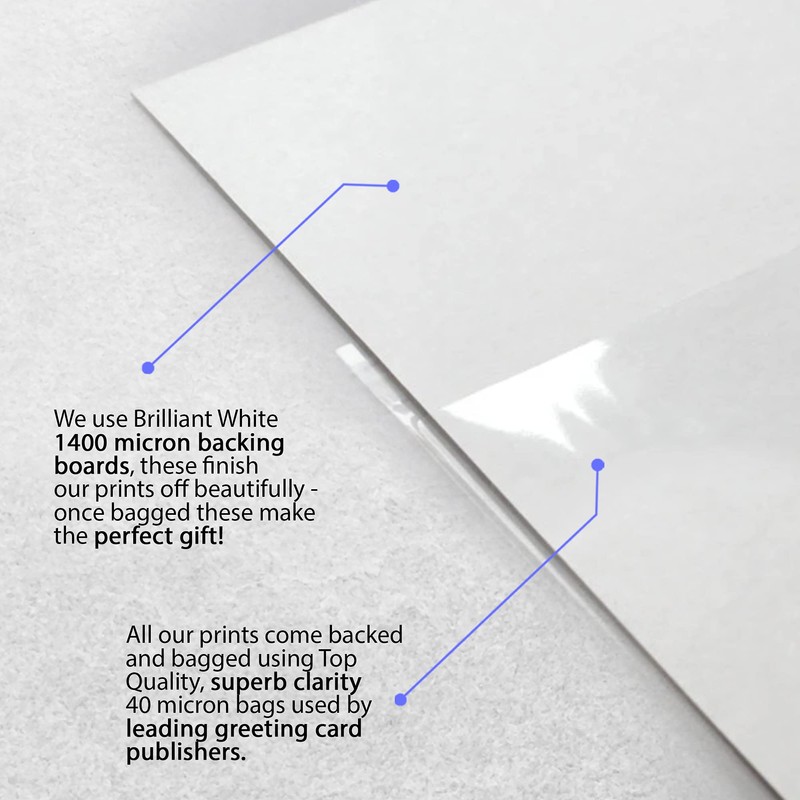 HWC Trading A4 Sarah Michelle Geller Buffy the Vampire Slayer