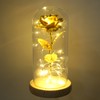 Rose in Glass Dome Lucky Beautiful Symbolism Romantic Enchanted Rose