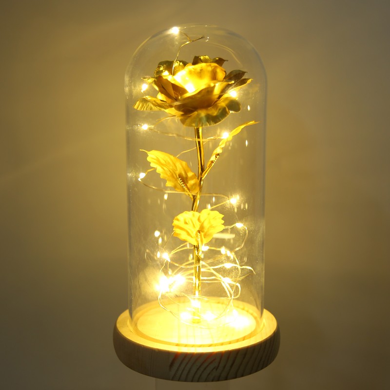 Rose in Glass Dome Lucky Beautiful Symbolism Romantic Enchanted Rose