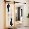 TOIMIOTIOM Sliding Barn Door Hardware Kit 8FT Sliding Rail Track