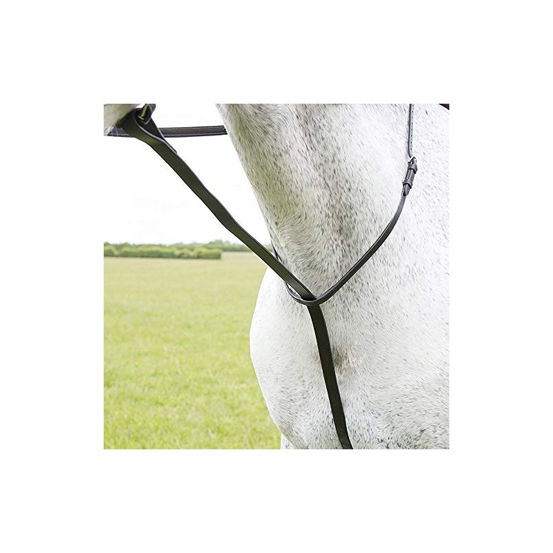 Shires Blenheim Standing Martingale