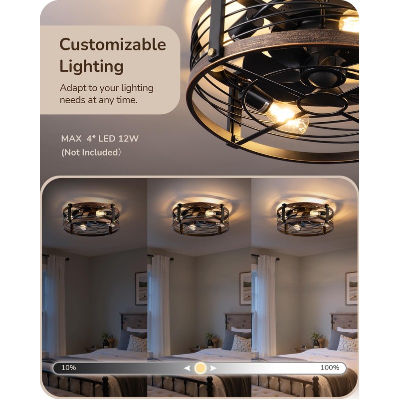 EDISHINE 21" Pre-Assembled Ceiling Fans with Lights Flush Mount, 10%-100%