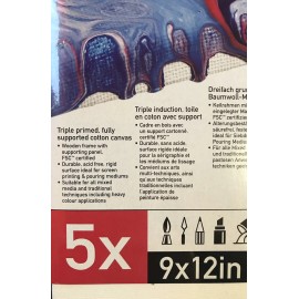 Daler-Rowney DALER ROWNEY FW MIXED MEDIA CANVAS RIGID SURFACE 9”x12” PACK OF 5