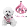PawSailor Step-in Small Dog Harness and Lead Set No Pull
