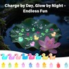 100pcs Resin Mini Luminous Turtles with 20pcs Tiny Ducks Mini
