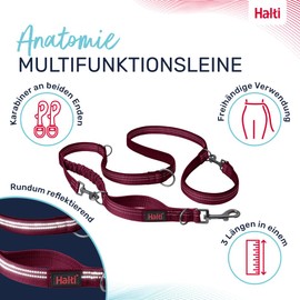 HALTI Anatomy Multi-Function Lead - Double Lead with Two Carabiners and Shock Absorber, Ideal for Dog Walking & Dog Training Reflective & Lightweight Suitable for Puppies (Small, Magenta)