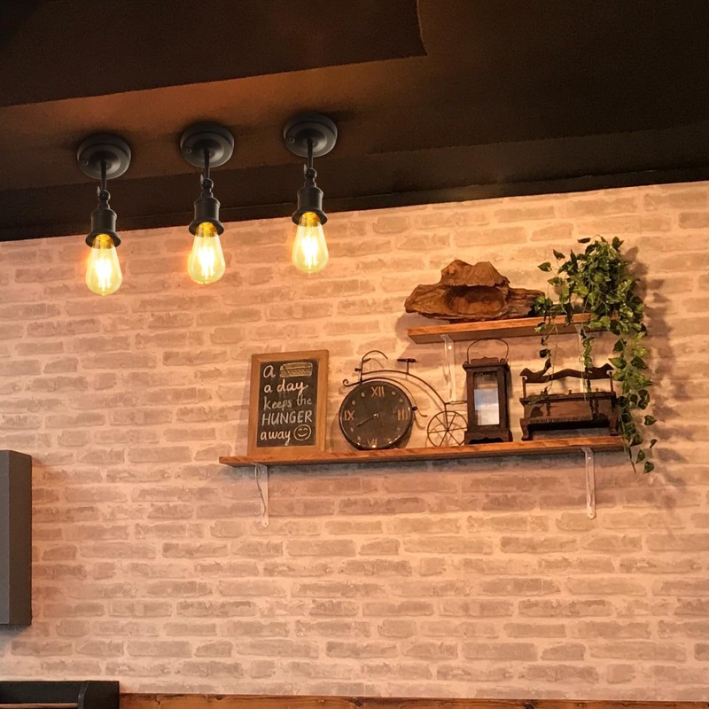 DoRight RV Ceiling Light Camper Lights, Wall Sconces Set of