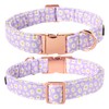 Lionet Paws Spring Female Dog Collar with Flower, Soft Comfortable