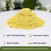 Lifebooil Pine Pollen Powder, 99% Cracked Cell Wall, 56 Servings,